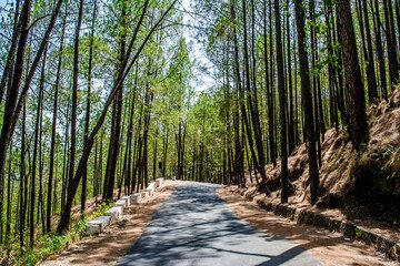 3 Days Lansdowne Tour